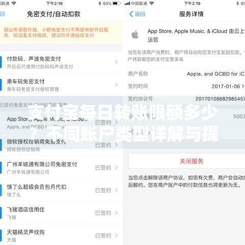 支付宝每日转账限额多少？不同账户类型详解与提升方法