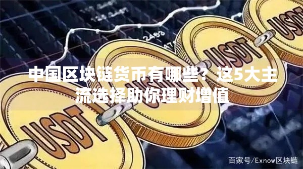 中国区块链货币有哪些？这5大主流选择助你理财增值