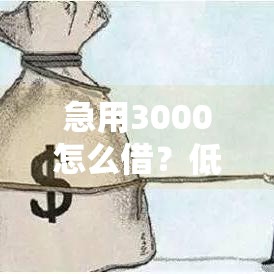 急用3000怎么借？低门槛网贷快速到账攻略