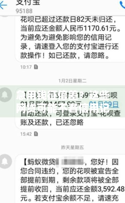 急用钱必看！这几个不看征信也能分期的借款平台