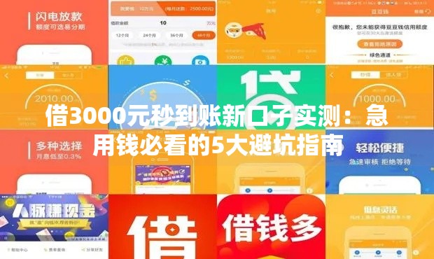 借3000元秒到账新口子实测：急用钱必看的5大避坑指南