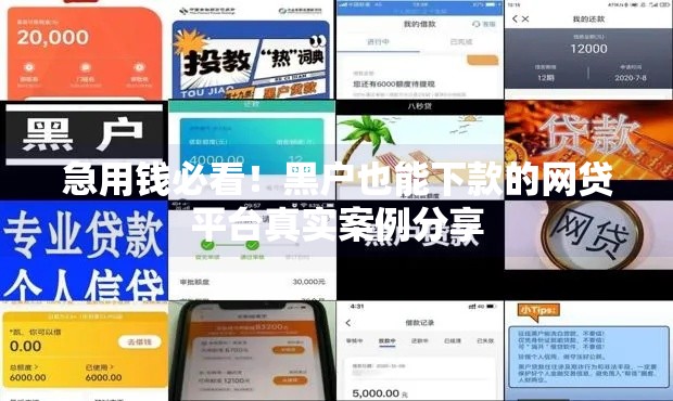 急用钱必看！黑户也能下款的网贷平台真实案例分享