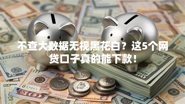 不查大数据无视黑花白？这5个网贷口子真的能下款！