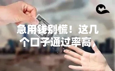 急用钱别慌!这几个口子通过率高,下款快试试看? 急用钱别慌!这几个口子通过率高,下款快试试看?