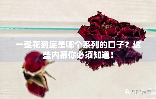 一盏花到底是哪个系列的口子？这些内幕你必须知道！