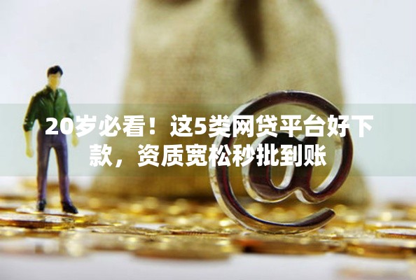 20岁必看！这5类网贷平台好下款，资质宽松秒批到账