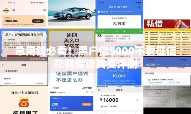 急用钱必看！黑户借5000不看征信花鸭借钱真实评测