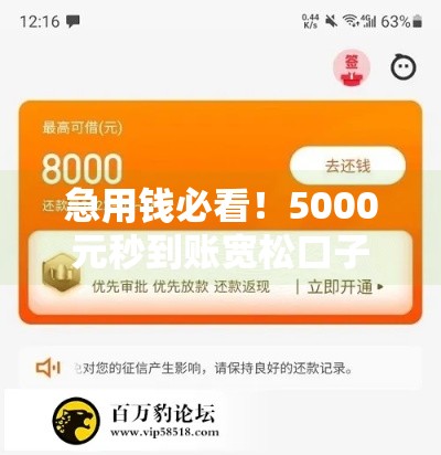 急用钱必看！5000元秒到账宽松口子避坑指南