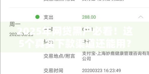 2025年网贷黑户必看！这5个真实下款渠道还能用？