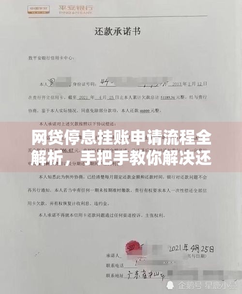 网贷停息挂账申请流程全解析，手把手教你解决还款难题