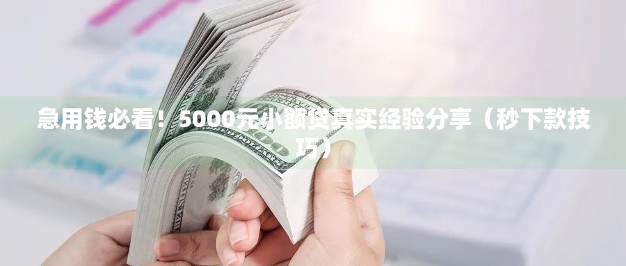 急用钱必看！5000元小额贷真实经验分享（秒下款技巧）