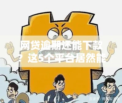 网贷逾期还能下款？这5个平台居然能申请，真实经验分享！
