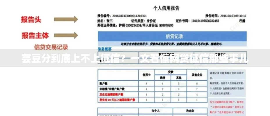 芸豆分到底上不上征信？一文看懂网贷征信那些事儿