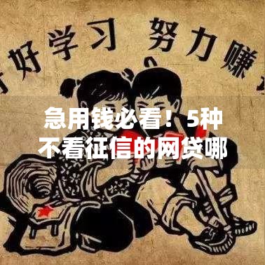 急用钱必看!5种不看征信的网贷哪个容易过? 急用钱必看!5种不看征信的网贷哪个容易过?