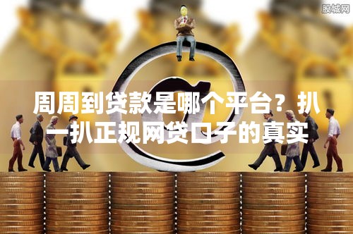 周周到贷款是哪个平台?扒一扒正规网贷口子的真实背景 周周到贷款是哪个平台?扒一扒正规网贷口子的真实背景