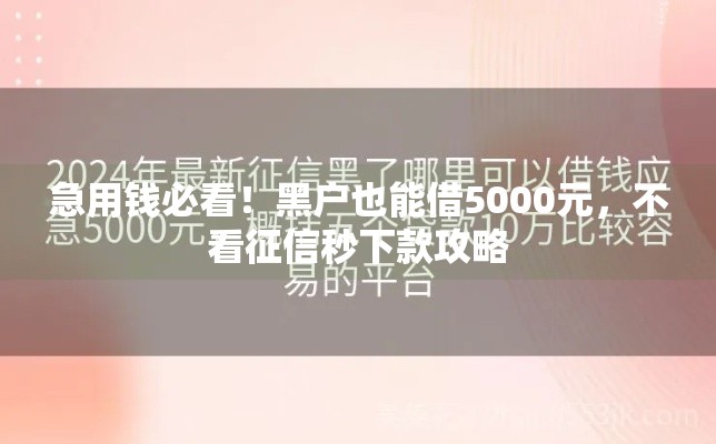 急用钱必看！黑户也能借5000元，不看征信秒下款攻略