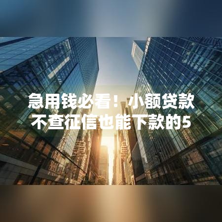 急用钱必看！小额贷款不查征信也能下款的5个靠谱平台推荐