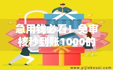 急用钱必看！免审核秒到账1000的网贷平台到底靠不靠谱？