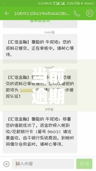 当前逾期黑户也能下款的网贷口子有哪些？