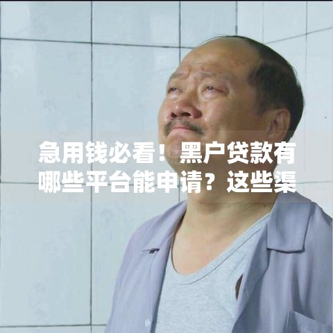 急用钱必看!黑户贷款有哪些平台能申请?这些渠道或许能帮到你 急用钱必看!黑户贷款有哪些平台能申请?这些渠道或许能帮到你