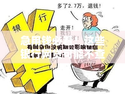 急用钱必看！这些银行网贷可能不查征信？附避坑指南