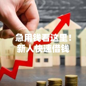 急用钱看这里!新人快速借钱免审核免息渠道大揭秘 急用钱看这里!新人快速借钱免审核免息渠道大揭秘