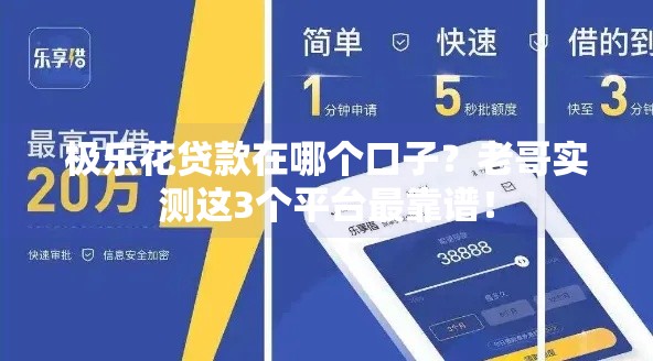 极乐花贷款在哪个口子？老哥实测这3个平台最靠谱！