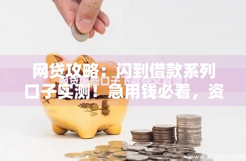 网贷攻略：闪到借款系列口子实测！急用钱必看，资质低也能秒下款？