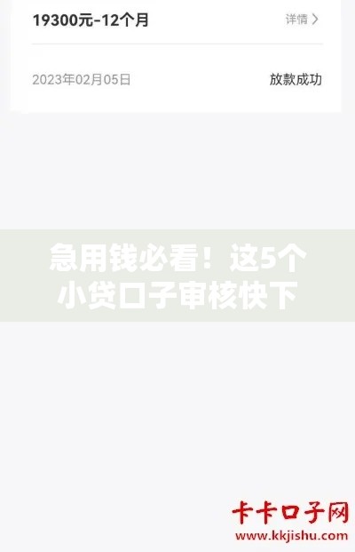 急用钱必看！这5个小贷口子审核快下款稳
