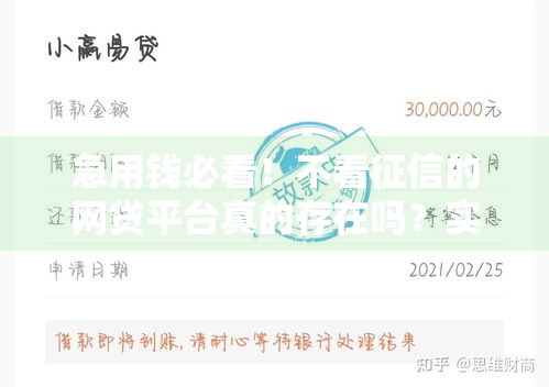 急用钱必看！不看征信的网贷平台真的存在吗？实测解析