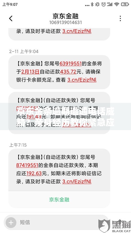 京东金条逾期遭遇电话威胁？亲身经历教你紧急应对