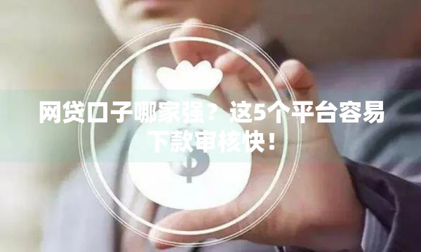 网贷口子哪家强？这5个平台容易下款审核快！