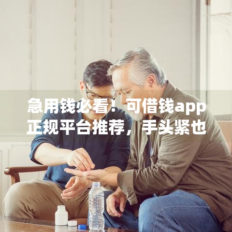 急用钱必看！可借钱app正规平台推荐，手头紧也能快速到账
