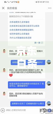 京东白条逾期半年亲身经历 过来人告诉你真实后果