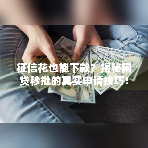 征信花也能下款？揭秘网贷秒批的真实申请技巧！