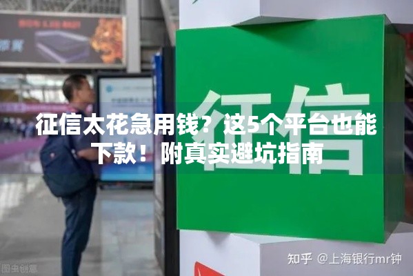 征信太花急用钱？这5个平台也能下款！附真实避坑指南