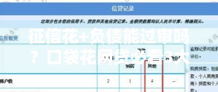 征信花+负债能过审吗？口袋花网贷必看3大秘诀