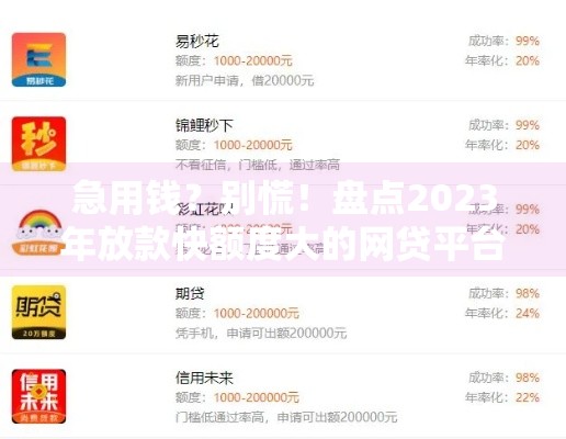 急用钱？别慌！盘点2023年放款快额度大的网贷平台推荐