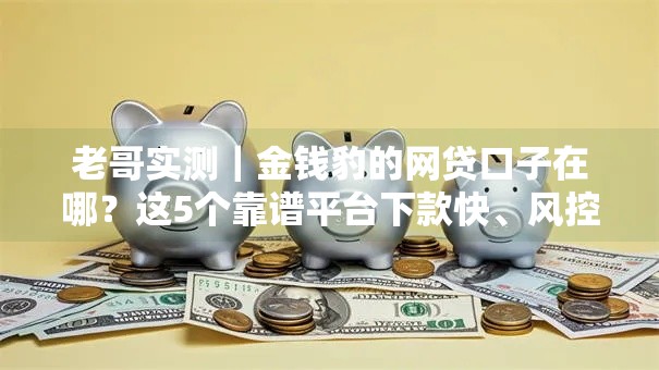 老哥实测|金钱豹的网贷口子在哪?这5个靠谱平台下款快、风控松! 老哥实测|金钱豹的网贷口子在哪?这5个靠谱平台下款快、风控松!
