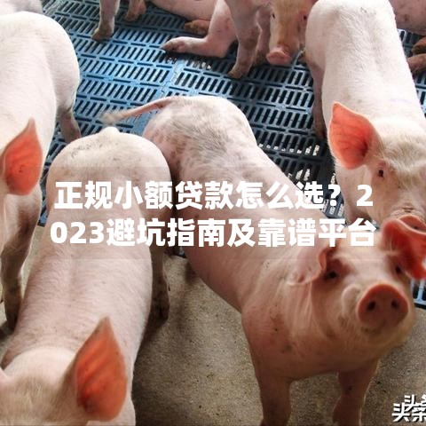 正规小额贷款怎么选？2023避坑指南及靠谱平台推荐