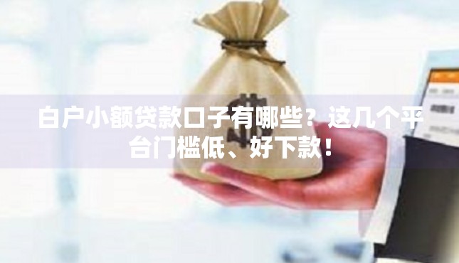 白户小额贷款口子有哪些？这几个平台门槛低、好下款！