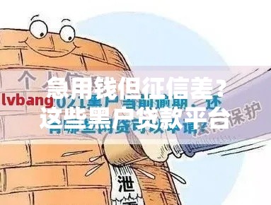正规的借款平台,精心分析5款网袋黑户小口子