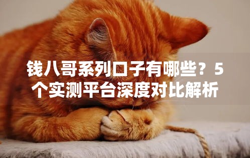 钱八哥系列口子有哪些?5个实测平台深度对比解析 钱八哥系列口子有哪些?5个实测平台深度对比解析