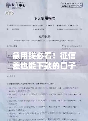 急用钱必看！征信差也能下款的口子真实测评，这几个平台竟然能通过？
