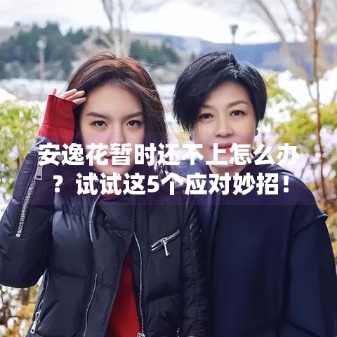 安逸花暂时还不上怎么办？试试这5个应对妙招！