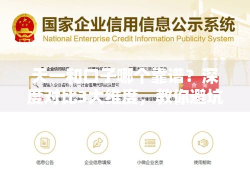 天一和口子哪个靠谱？深度对比3大维度，教你避坑选对平台！