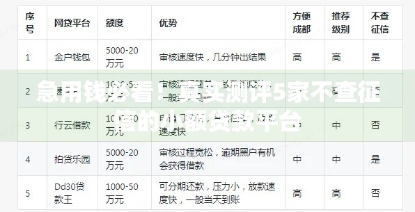 急用钱必看！真实测评5家不查征信的小额贷款平台