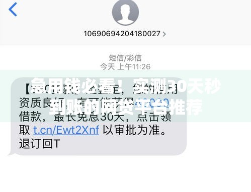急用钱必看！实测30天秒到账的网贷平台推荐