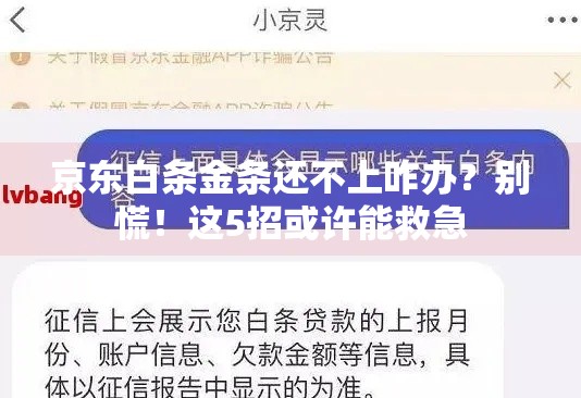 京东白条金条还不上咋办？别慌！这5招或许能救急