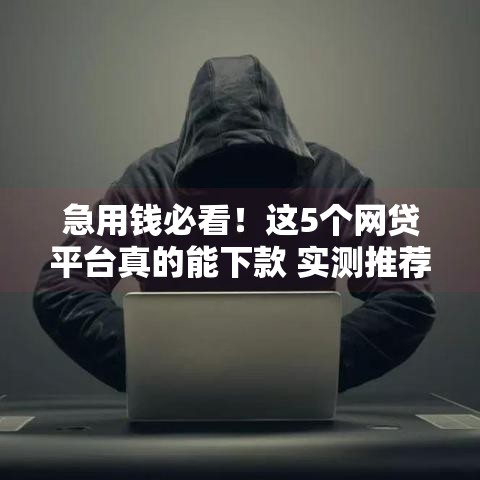 急用钱必看！这5个网贷平台真的能下款 实测推荐